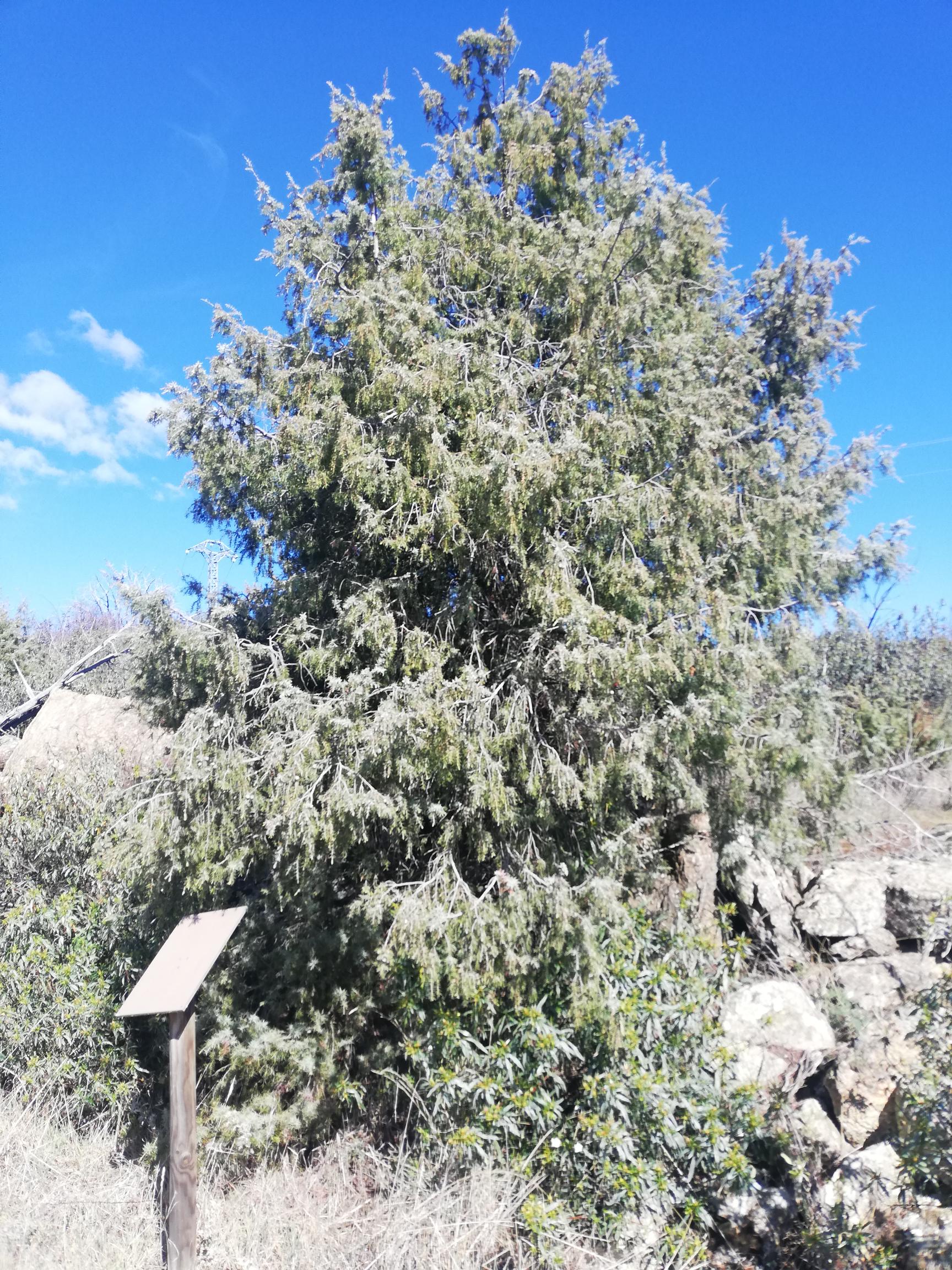 Ruta de la Cascada del Cancho de Navalafuente